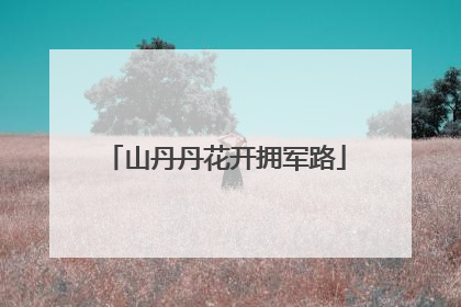 山丹丹花开拥军路